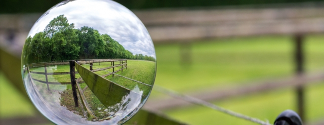 Self-paced Hypnotherapy certification with practice day