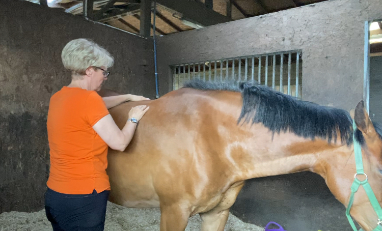 TBT Alignment Specialist - Tracey Cole - Staffordshire, Cheshire and Derbyshire