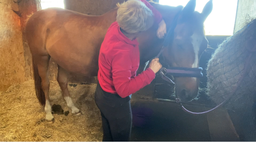 Tucker Biokinetic Technqiue (TBT Alignment specialist Tracey Cole)